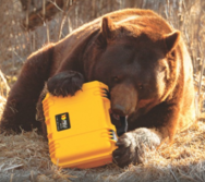 Peli Storm™ Cases