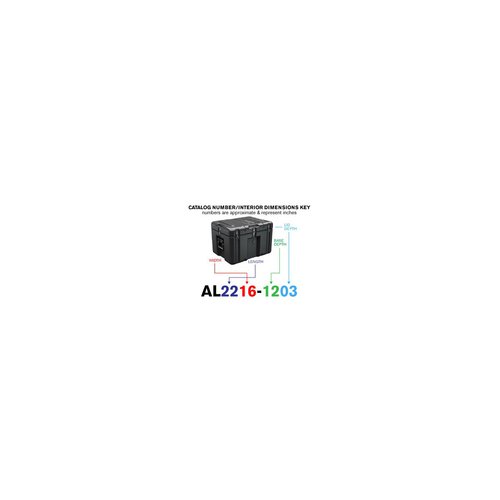 Peli Single Lid Trunk Case AL2216-1203