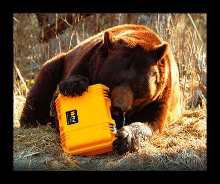 Peli Storm iM2100 Case With Foam SPECIAL OFFER