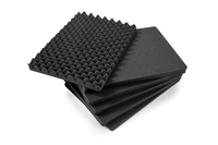 B&W Pre-Cut Foam Set for B&W Type 6500 Outdoor Case