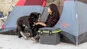 Peli 14QT Personal Cooler: Camping Lifestyle Image