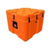 Peli ISP2 Case EU060060-4010